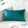 Artscope Luxury Velvet Pillow Covers Decorative Rectangle Pillowcases Soft Solid