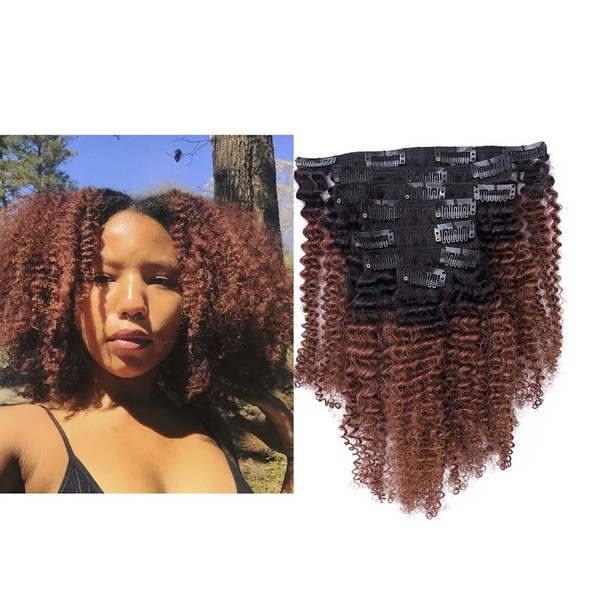 Ombre Remy Clip in Human Hair Extensions Afro Kinky Curly Clip ins 4B 4C 100% Natural Black Hair Extensions 10-22 inch Two Tone T#1B/4 Ombre Dark Brown Color Full Head (16 inch, Ombre#1B/4 AC)