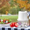 Luniquz Mini Electric Garlic Chopper 300ML GLASS Food Processor Cordless