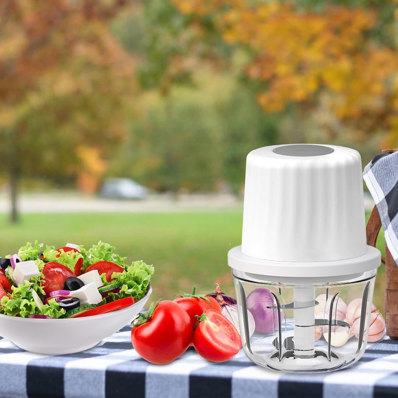 Luniquz Mini Electric Garlic Chopper 300ML GLASS Food Processor Cordless