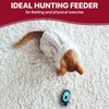 SPOT Doc and Phoebe's Cat Hunting Snacker - Interactive Indoor