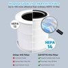 Smoke Wildfire Filter H14 Replacement Filter Compatible with DAYETTE Air