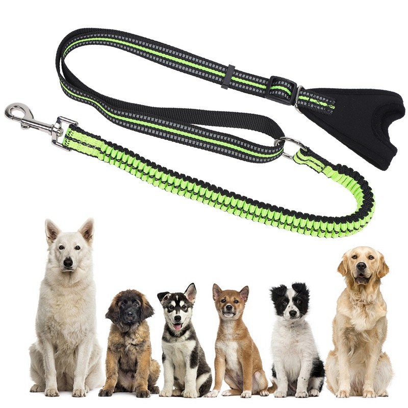Reflective Pet Safety Belt Dog Walking Leash AntiLost Reflective Training
