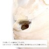 Pearl Shell Purifying Dish, Sold as 1 Pan, Trinket Box,