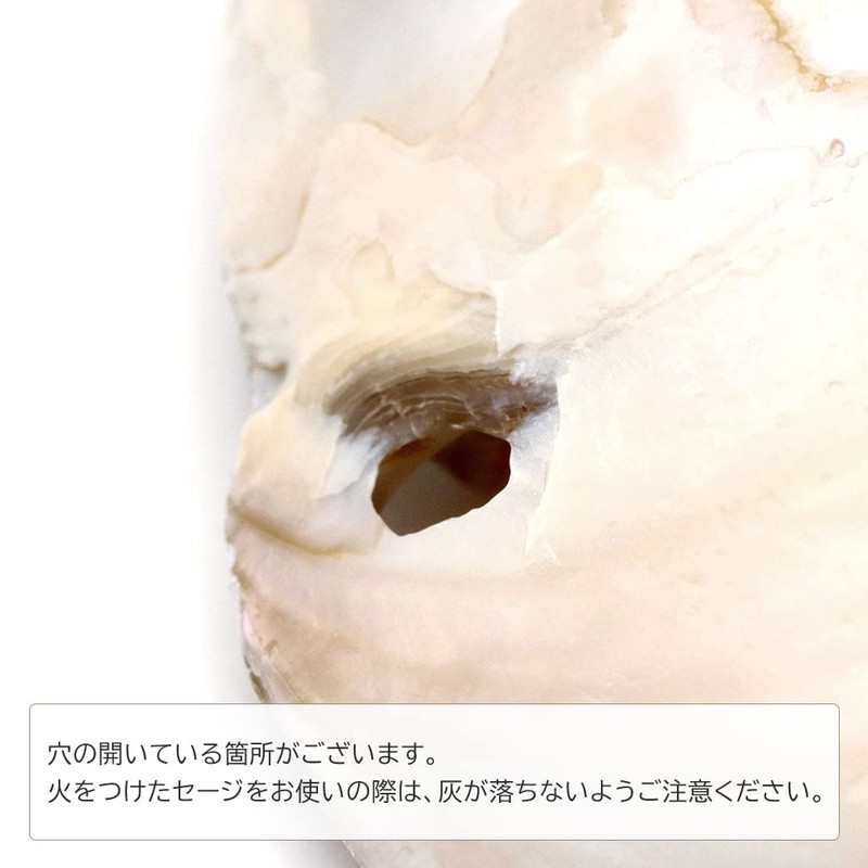 Pearl Shell Purifying Dish, Sold as 1 Pan, Trinket Box,