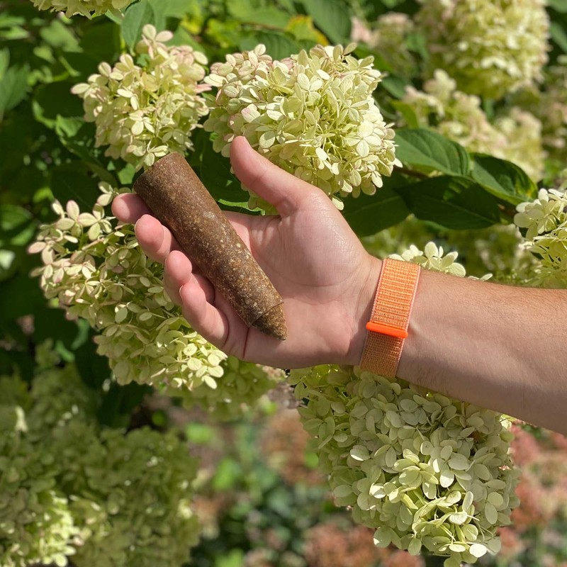 The Old Farmer's Almanac Tree & Shrub Fertilizer Spikes (Box