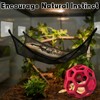 Snake Hammock For Ball Python, Jungle Gym Ball With Chain