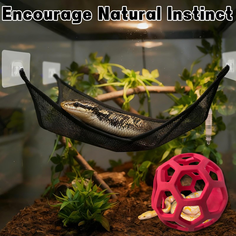 Snake Hammock For Ball Python, Jungle Gym Ball With Chain