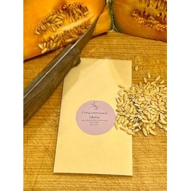 Hales Best Jumbo Cantaloupe Seeds, Non-GMO Heirloom, 50 Count USA Grown by Forever Seed Store