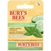 Burt's Bees 100% Natural Moisturizing Lip Balm, Cucumber Mint -