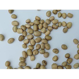 Small Fava Bean Seeds 1/4 LB (113 Grams) for No-Till Garden, Green Manure, Ground Cover, Nitrogen Fixation