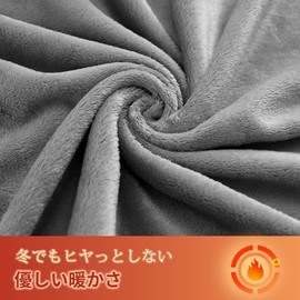 AZRA Pillowcase, Winter, Warm, Pillowcase, 16.9 inches (43 cm), 24.8 inches (63 cm), Pillow Cover, Anti-Static, OEKO-TEX Certified, Stylish, Microfiber, Zippered, Gray