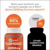 Qunol Turmeric Curcumin with Black Pepper & Ginger, 2400mg Turmeric
