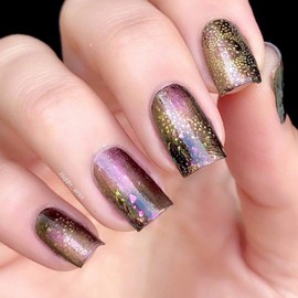 Alexnailart Nail Art Stamping Templates Manicure Tool Star Noon Butterfly (FA014)