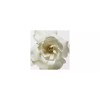 Donna Karan New Donna Karan 3-Pc. Cashmere Mist Fragrance Purse