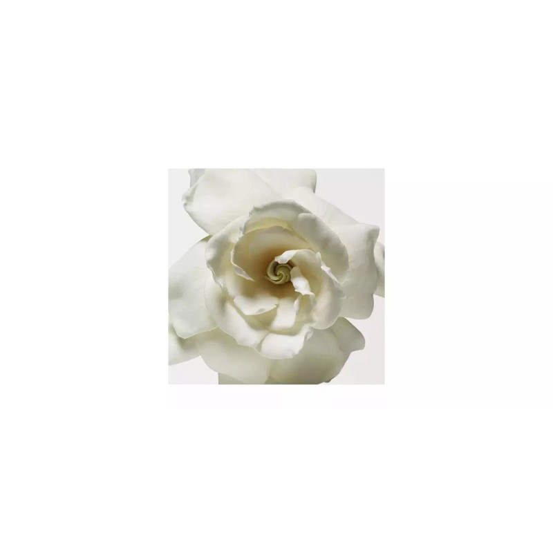 Donna Karan New Donna Karan 3-Pc. Cashmere Mist Fragrance Purse
