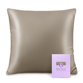 OLESILK 100% Silk Cushion Cover Hair and Skin Care with Zip 16 Momme 1 Piece, 65 x 65 cm, Taupe