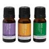 ECO. Modern Essentials The Classics Essential Oil Trio, 3 x