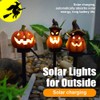 All Saint's Day Solar Powered Lights Skull Crow Pumpkin LED