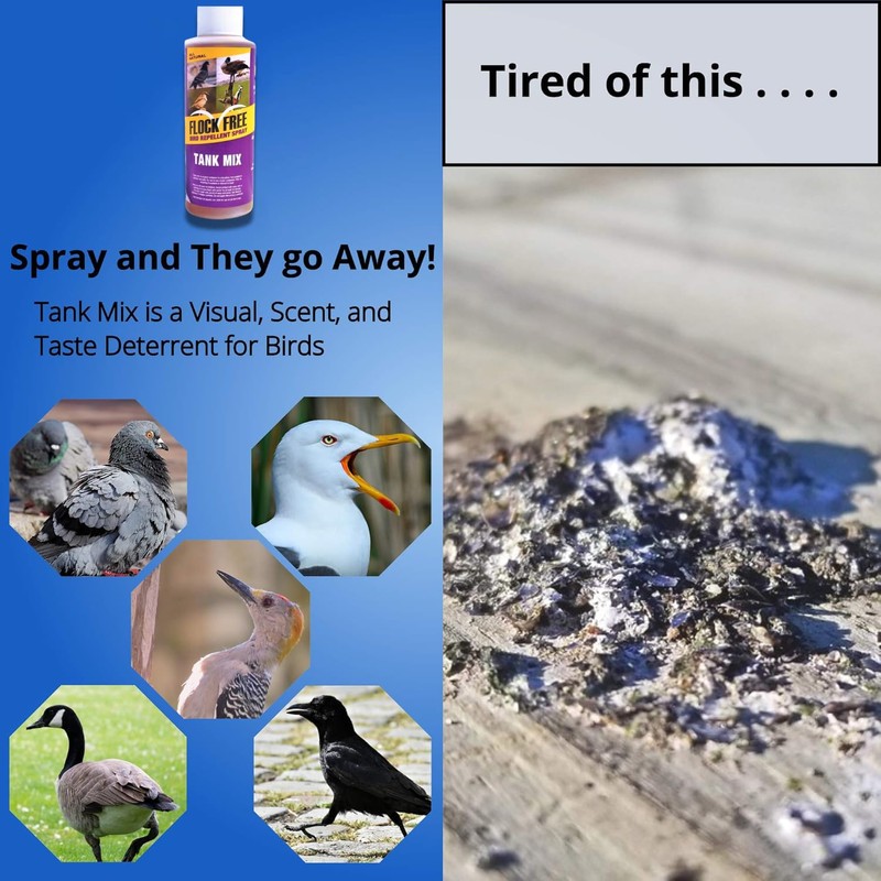 Bird Repellent Spray, Residential Bird Problem Solution by Flock Free