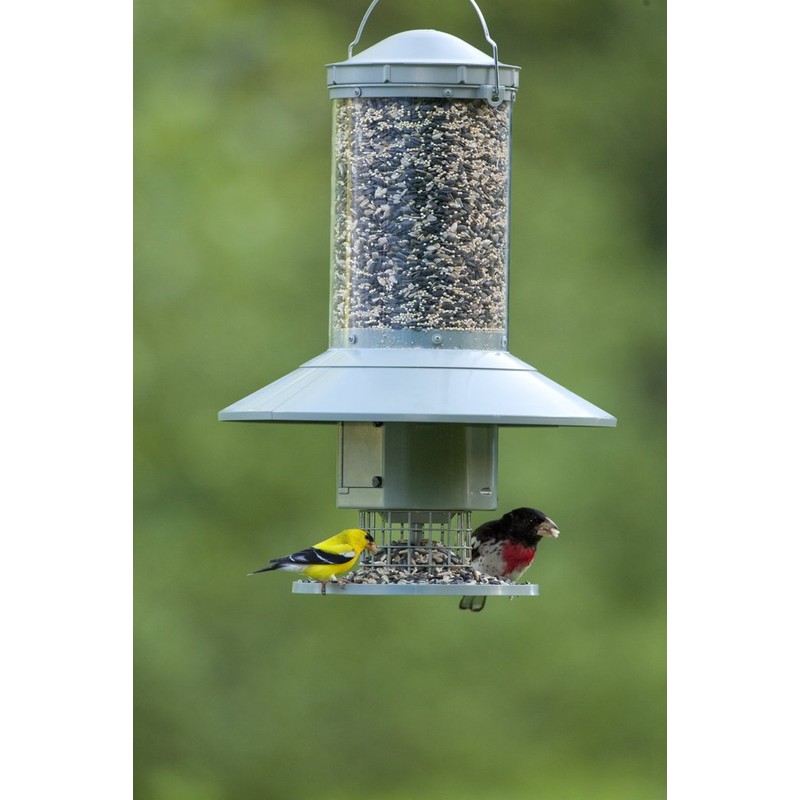 Wingscapes AutoFeeder® Automatic Bird Feeder