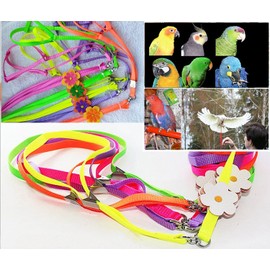 Hypeety Beauty Parrot Adjustable Bird Harness and Leash Anti-bite for Bird Parrot African Grey Cockatoo Macaw Ringneck Parakeet Cockatiel(1Pcs Random Color)