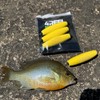 4REEL Fishing 3" EVA Peg Float - Pack of 3