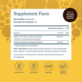 Youtheory Lion's Mane Plus - Mushroom Supplement with Cognizin - Offers Focus & Brain Support* - 60 Vegetarian Capsules