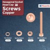 Kozelo 8pcs M4 Hex Socket Cap Bolt Kit Cap Bolt