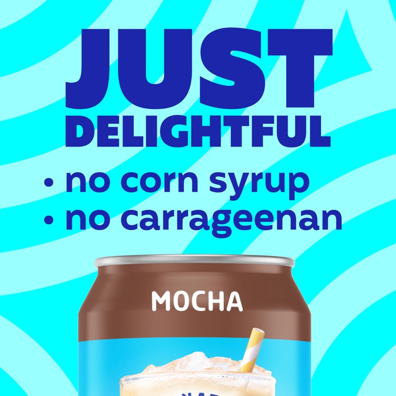 International Delight Iced Coffee, Mocha, Grab and Go Coffee Drinks