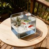 2025 Creative Floating Floral Arrangement Holder, Innovative Floating Flower Display