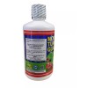 G.M.J. JUGO de MORINGA TURMERIC GUANABANA PLUS ANTIOX 32FL.OZ ANTI