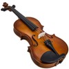 SKY(Paititi) 4/4 Size SKYVN101 Student Violin with Lightweight Case, Brazilwood