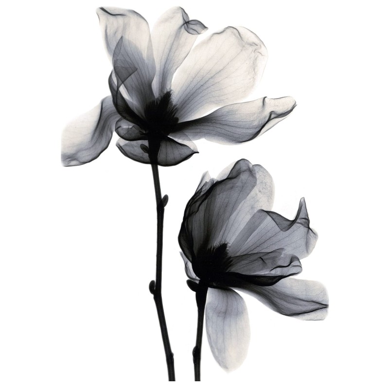 2 Sheets Temporary X-Ray Flower Tattoo Flowers Tattoo Temporary Tattoos