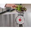 San Jamar Escali Stainless Steel Mechanical Dial Scale with Bowl,