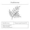 ĒLYSCE Frankincense Essential Oil 10ml Aromatherapy Therapeutic Grade Wellness Solution