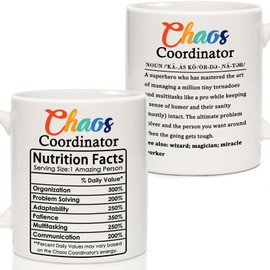 Breezy Valley Chaos Coordinator Mug Gifts for Women Men, Appreciation Gifts for Coworkers Leaving Gifts, Boss Coworker Christmas Gifts, Thank You Goodbye Going Away Farewell Gifts for Coworkers