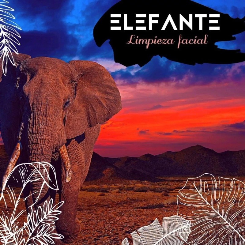 Vidamía Jabón Artesanal Ch Facial Leche Carbón Activado Aloe Vera