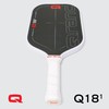 QRANC Q18-1 Pro Pickleball Paddle, Carbon Fiber Pickleball Paddle and