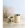 【With Tea Strainer】 THERMOS Vacuum Insulated Tea Tumbler 500ml Sand