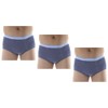 3-Pack Men's Gray Classic Regular Absorbency Washable Reusable Incontinence Briefs