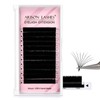 Easy Fan Lashes 0.03丨0.05丨0.07丨0.10 Thicknesses B丨J丨C丨CC丨D丨DD丨M丨L Curl Eyelash Extension Volume