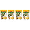 Jobe’s Organics Fruit & Citrus Tree Fertilizer Spikes, 3-5-5 Time Release Fertilizer for All Container or Indoor Fruit Trees, 6 Spikes per Package (4)