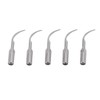 5pcs P1 Dental Clean Machine Tip Stainless Steel Heat Resistance