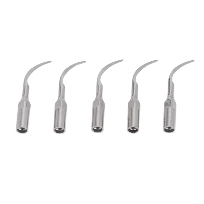 5pcs P1 Dental Clean Machine Tip Stainless Steel Heat Resistance