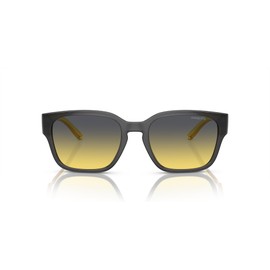 ARNETTE Men's An4325 Sunglasses, Hamie Transparent Grey Fifty Y, 54 mm