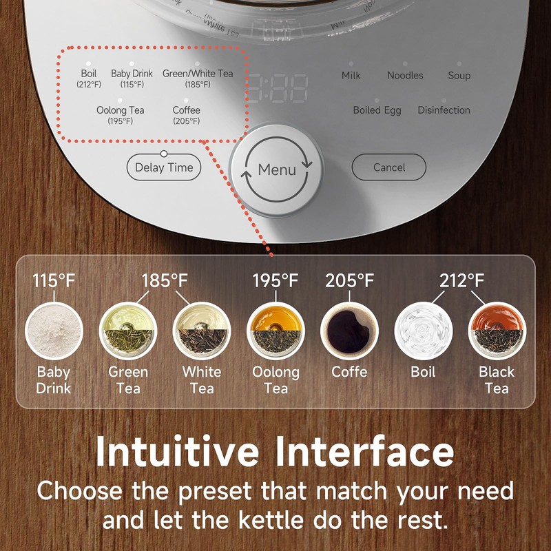 ICOOKPOT Hot Electric Kettle with Tea Infuser and Temperature Control,