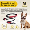 Hundefreund Hands Free Dog Leash for Medium and Large Dogs