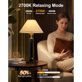 FRIDEKO Cordless Rechargeable Table Lamp Set of 2, Small Touch Bedside Lamps, 4000mAh Battery Operated Wireless Lamps, 2700K Dimmable Lamp for Bedroom Small Spaces Kitchen Restaurant Relaxed, 15.7"