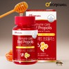 Roniewell 면역케어 레드 프로폴리스 60캡슐 (1개월분) Immune Care Red Propolis
